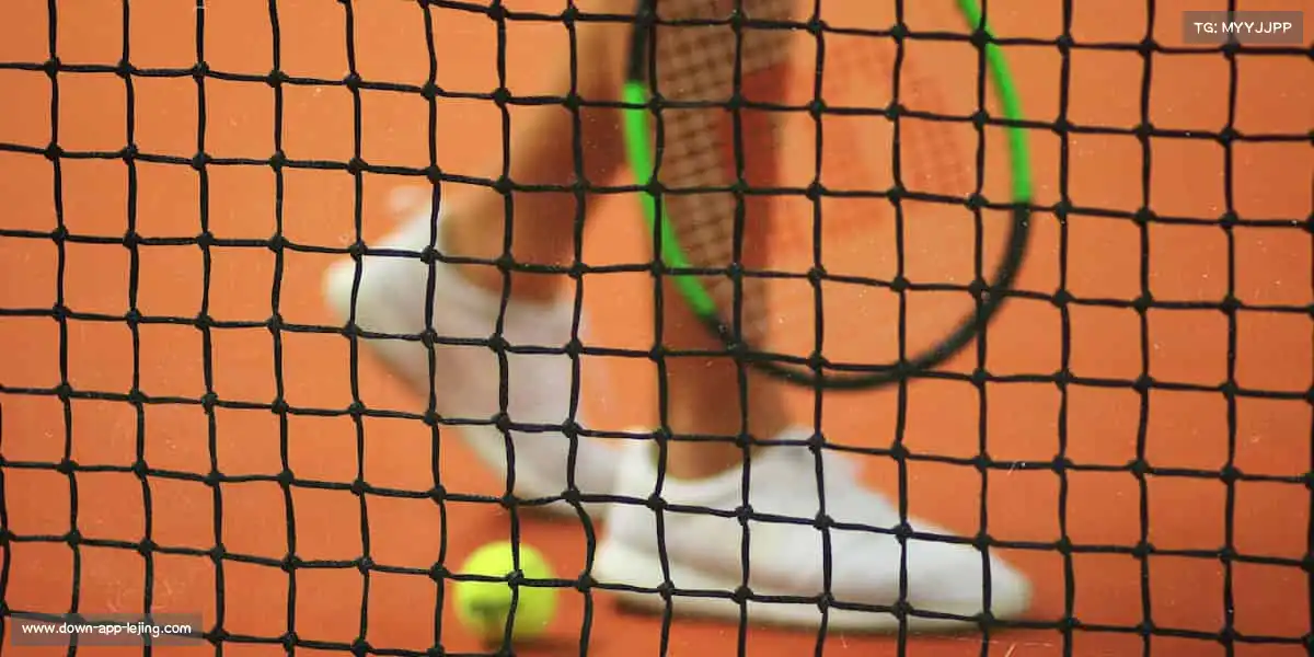 为什么选择我们